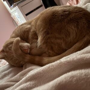 Meet your Posher, May